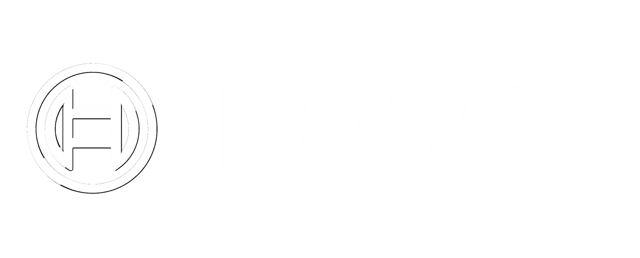 Bosch - Copia